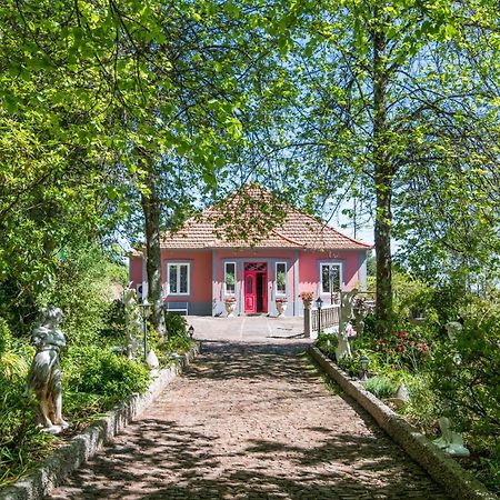 Villa Camelia Boutique House Camacha  Dış mekan fotoğraf